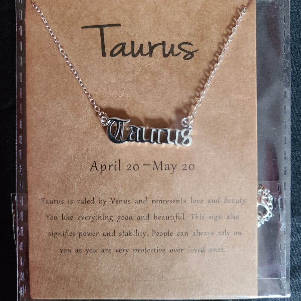 Stainless steel Taurus necklace